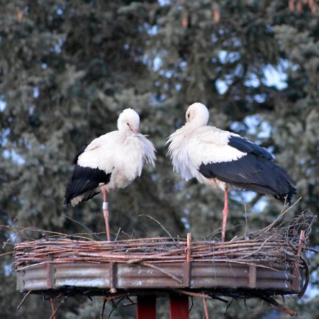 Ferienwohnung Am Storchennest In Burkau ภายนอก รูปภาพ